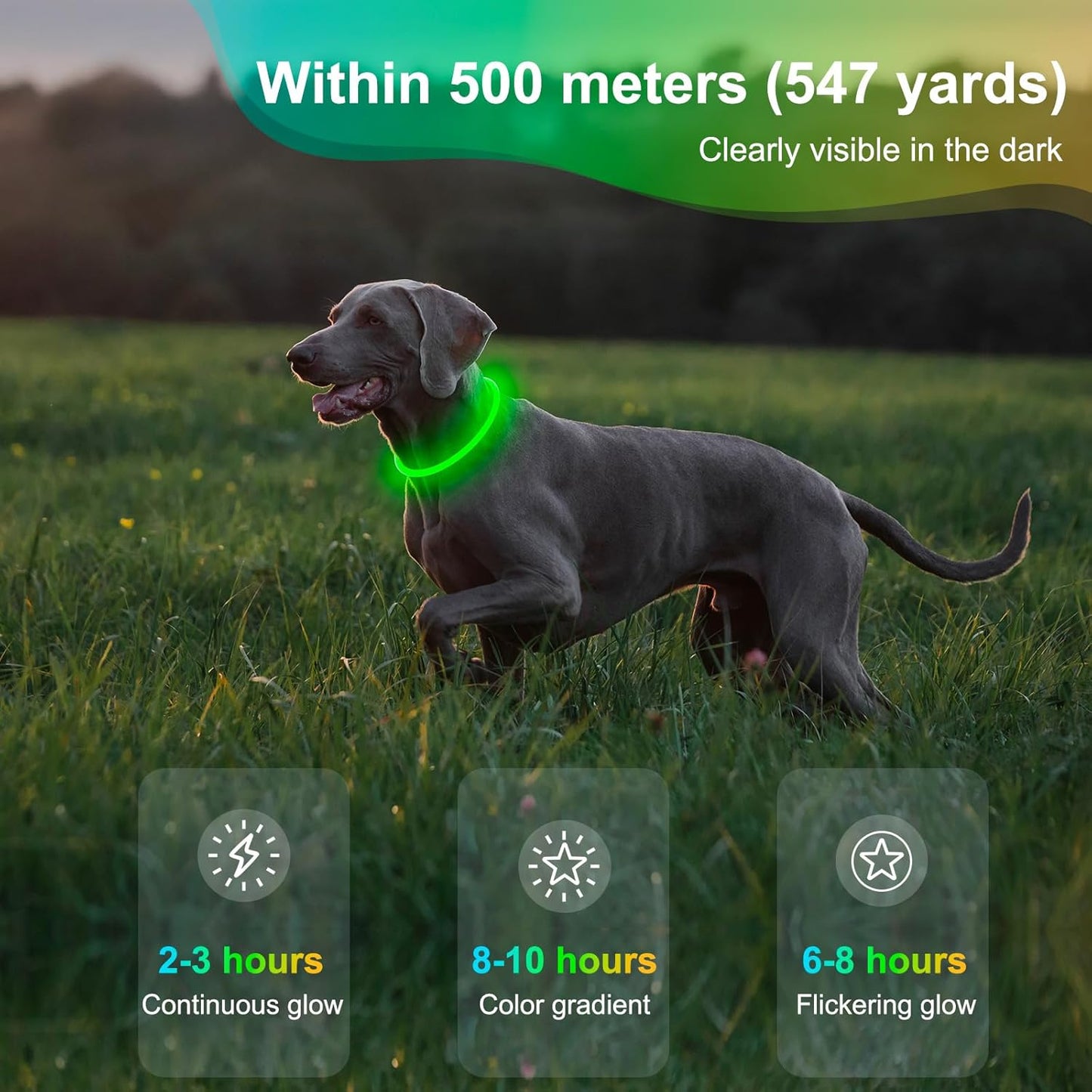 Rechargeable Waterproof LED Dog Collar - Adjustable Light-Up Pet Collar for Small, Medium, and Large Dogs - Green