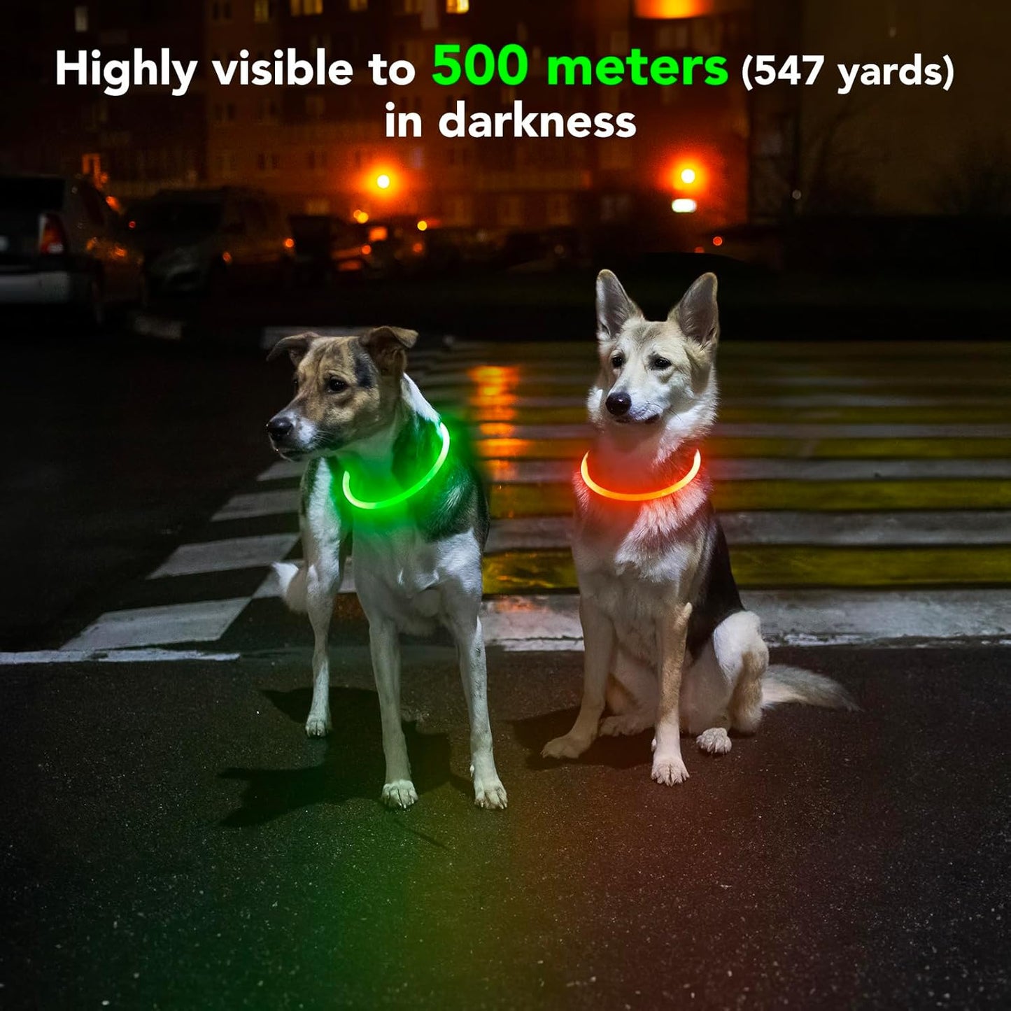 Rechargeable Waterproof LED Dog Collar - Adjustable Light-Up Pet Collar for Small, Medium, and Large Dogs - Green