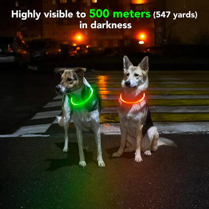 Rechargeable Waterproof LED Dog Collar - Adjustable Light-Up Pet Collar for Small, Medium, and Large Dogs - Green