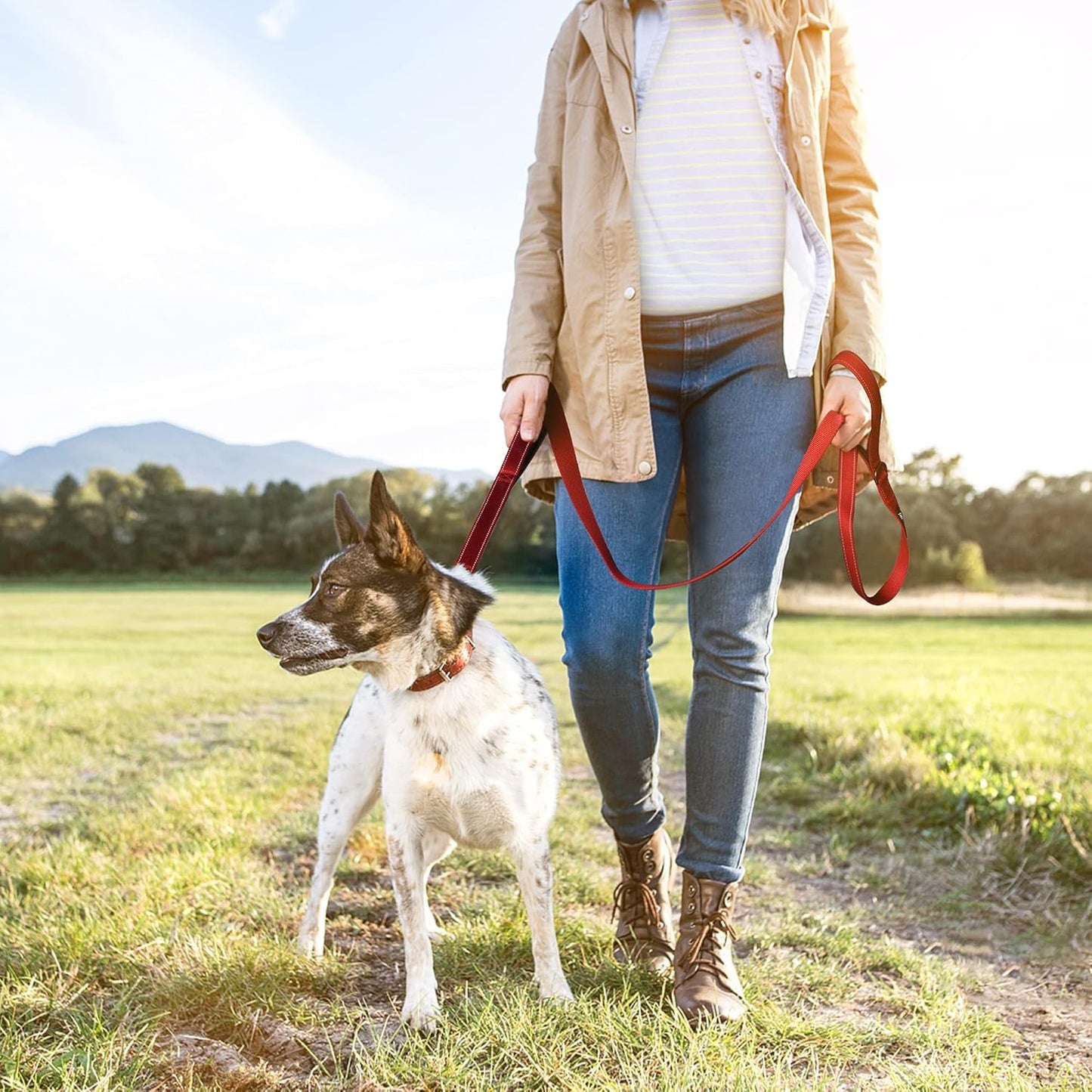 4FT 1IN Durable Red Dog Leash with Dual Padded Handles, Traffic Control Feature, Comfortable Grip, Auto Lock Hook, and Reflective Design for Small to Large Dogs
