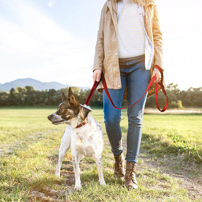 4FT 1IN Durable Red Dog Leash with Dual Padded Handles, Traffic Control Feature, Comfortable Grip, Auto Lock Hook, and Reflective Design for Small to Large Dogs