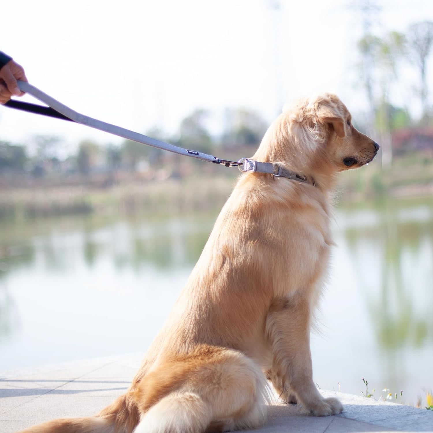 Heavy-Duty 24-Inch Short Dog Leash with Comfortable Handle and Lightweight Aviation Aluminum Clip - Ideal for Daily Walking and Training of Large and Medium Dogs (Slate Gray)