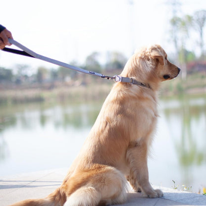 Heavy-Duty 24-Inch Short Dog Leash with Comfortable Handle and Lightweight Aviation Aluminum Clip - Ideal for Daily Walking and Training of Large and Medium Dogs (Slate Gray)