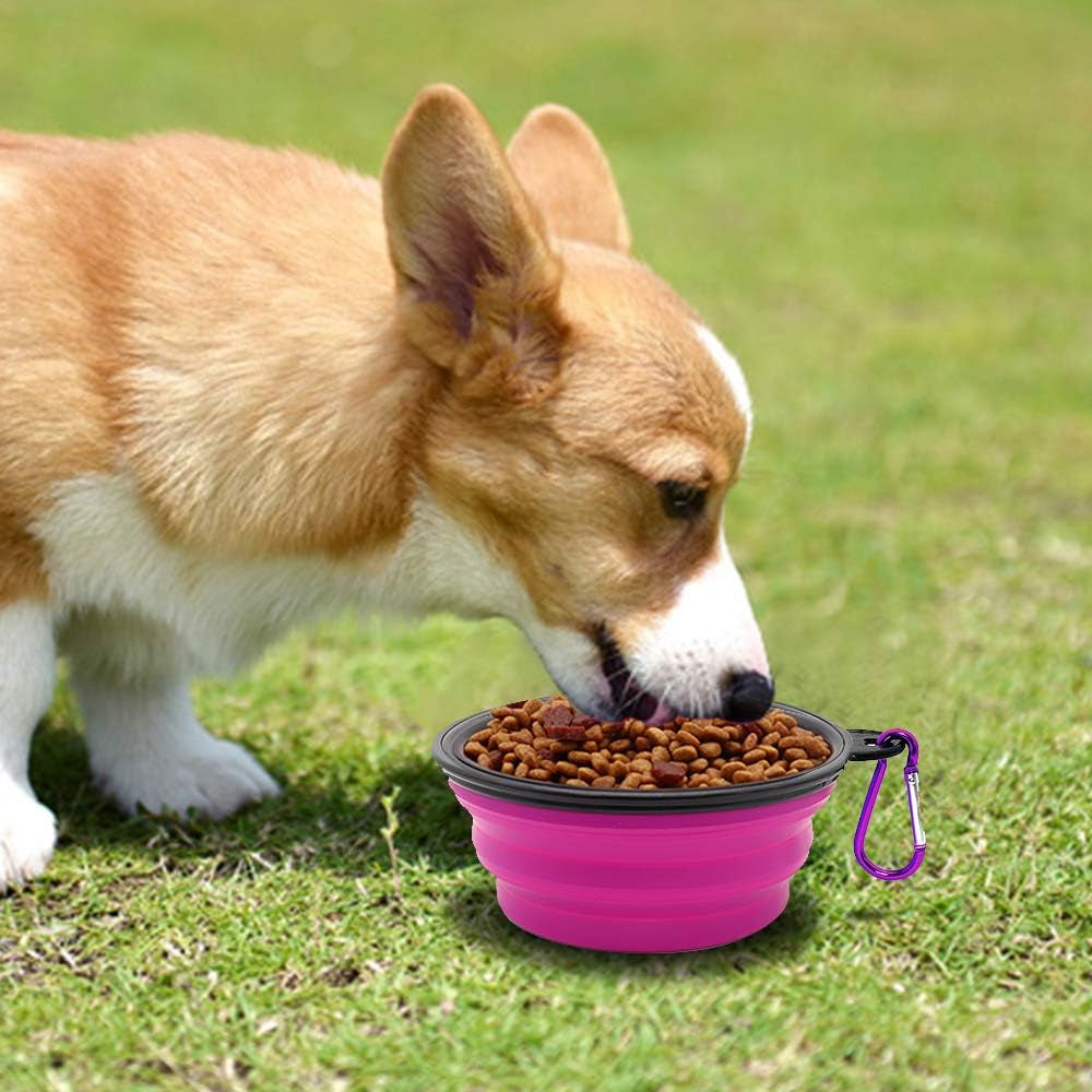 Collapsible Dog Bowls - 2 Pack Portable Pet Feeding and Watering Dishes for Dogs and Cats, Includes 2 Carabiners (Small, Green and Purple)