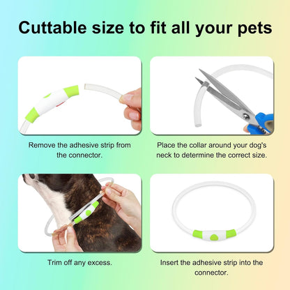 Rechargeable Waterproof LED Dog Collar - Adjustable Light-Up Pet Collar for Small, Medium, and Large Dogs - Green