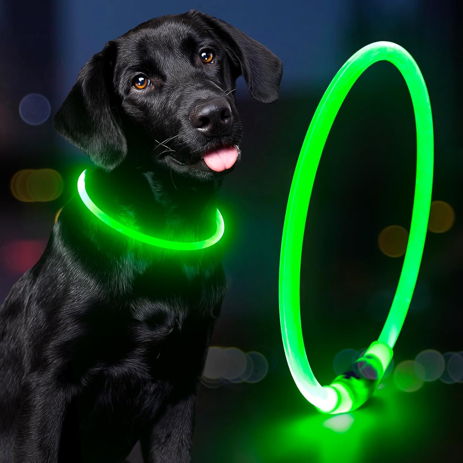 Rechargeable Waterproof LED Dog Collar - Adjustable Light-Up Pet Collar for Small, Medium, and Large Dogs - Green