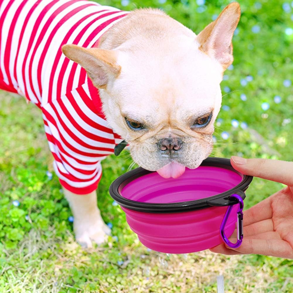 Collapsible Dog Bowls - 2 Pack Portable Pet Feeding and Watering Dishes for Dogs and Cats, Includes 2 Carabiners (Small, Green and Purple)