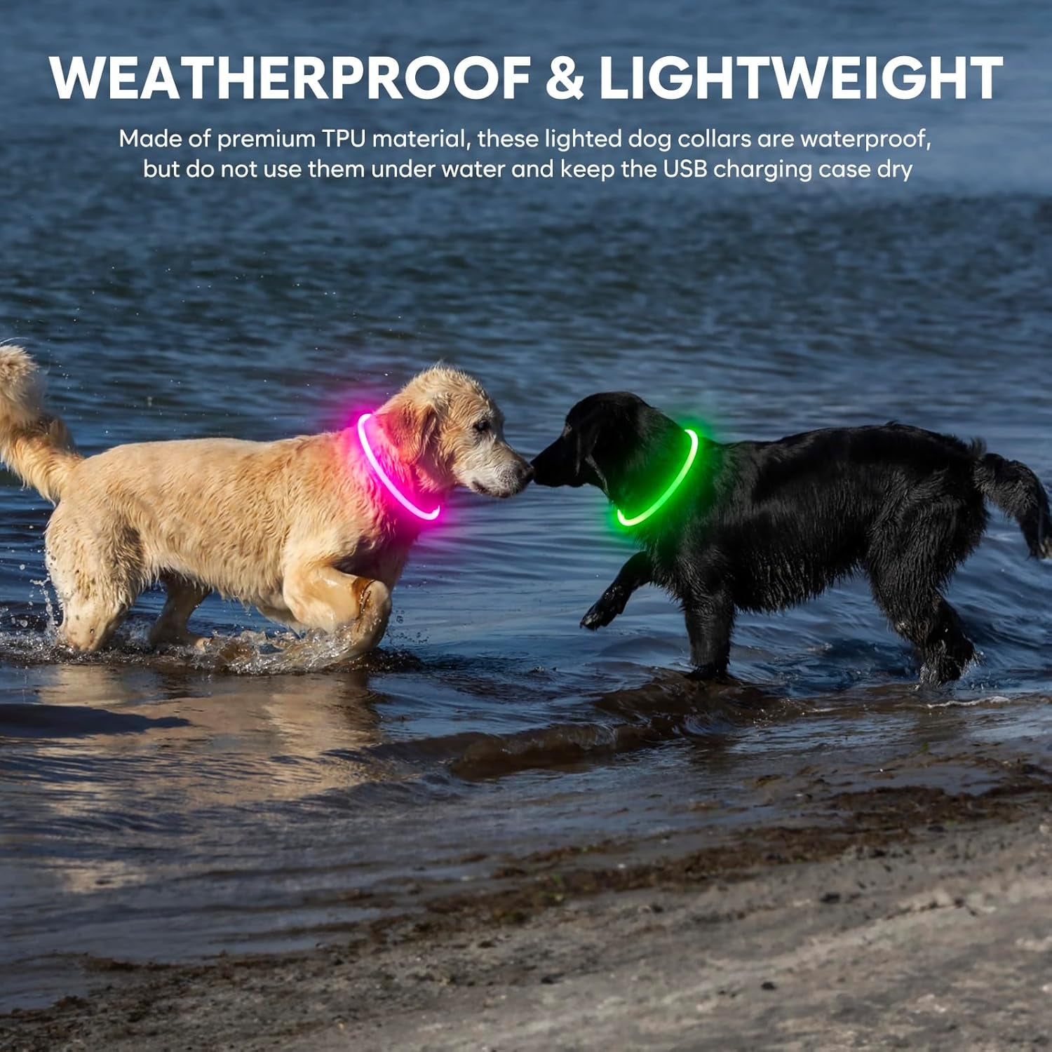 Rechargeable Waterproof LED Dog Collar - Adjustable Light-Up Pet Collar for Small, Medium, and Large Dogs - Green