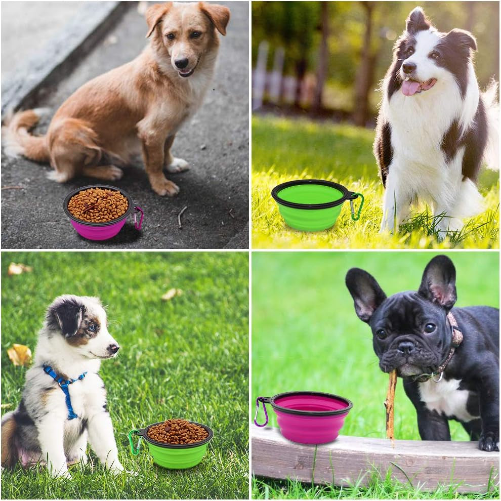 Collapsible Dog Bowls - 2 Pack Portable Pet Feeding and Watering Dishes for Dogs and Cats, Includes 2 Carabiners (Small, Green and Purple)
