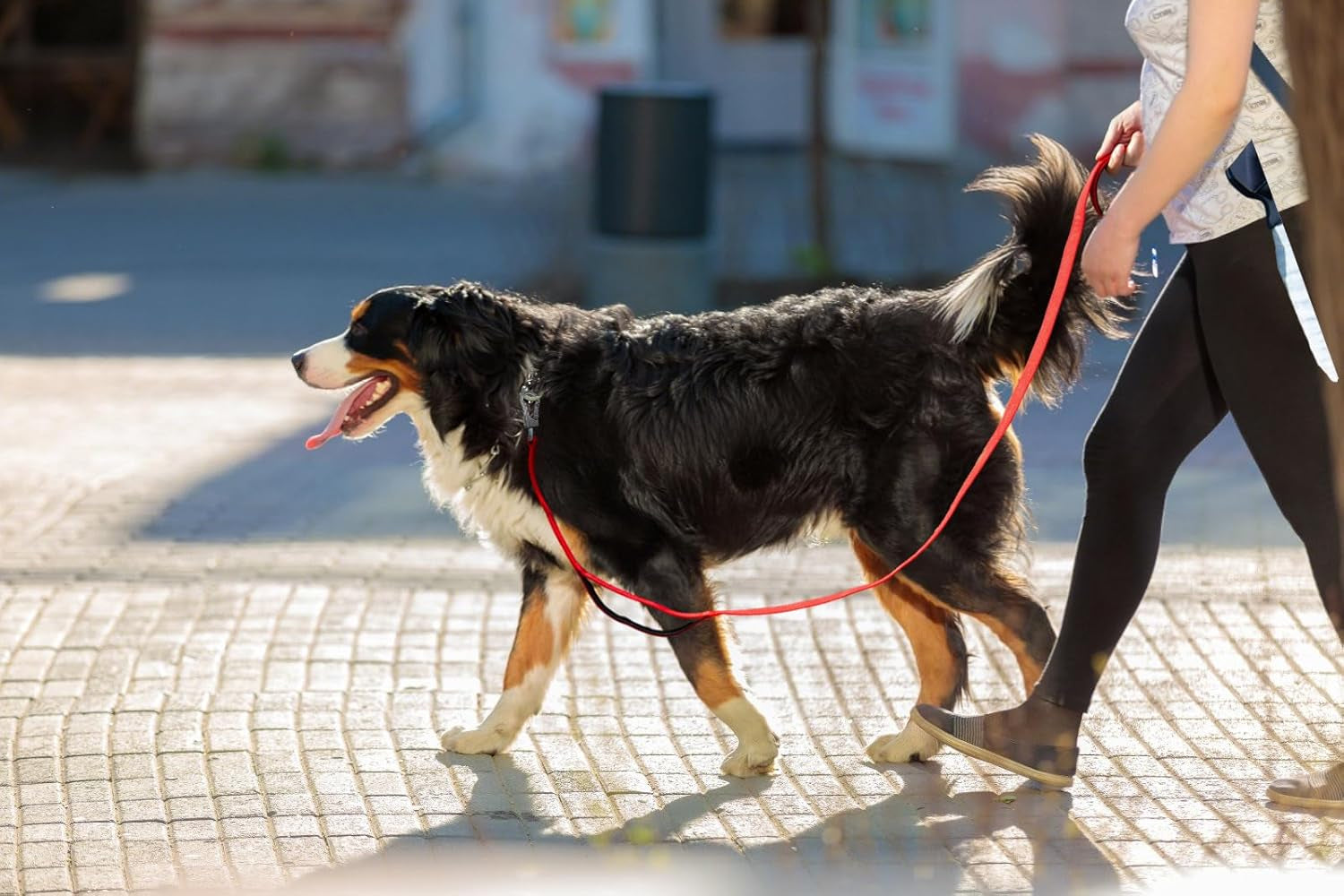 4FT 1IN Durable Red Dog Leash with Dual Padded Handles, Traffic Control Feature, Comfortable Grip, Auto Lock Hook, and Reflective Design for Small to Large Dogs